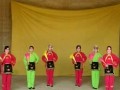 怀安软秧歌 - 传统戏曲下载 | 剧情简介与演员信息