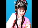 坠子戏 传统戏曲的魅力与传承