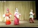 北方坠剧《丝绒记》全集在线观看 - 经典戏曲下载下载