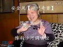 豫剧沙河调安金凤 湖州奇案 恨严嵩在朝中仗势专权一折 戏曲下载下载