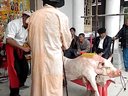 民间端公戏 独特魅力的传统戏曲艺术