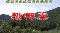 反修