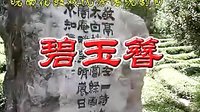 皖南花鼓戏《碧玉簪》（全本）- 经典戏曲下载 - 高清音质下载