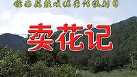 《卖花记》- 皖南花鼓戏经典全本 - 感受戏曲魅力