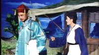 曹瞎子闹店 皖南花鼓戏 王凤云 张美琳 李明华 赵晓东 剧情简介下载