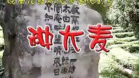 皖南花鼓戏《反修》全本下载 - 经典戏曲剧目在线观看及资源分享 皖南花鼓戏《反修》全本下载 - 经典戏曲剧目在线观看及资源分享