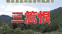 皖南花鼓戏《三篙恨》全本 - 经典戏曲下载