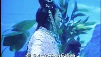 皖南花鼓戏《水漫泗州》（上）- 经典戏曲下载 - 戏曲资源分享平台下载