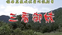 皖南花鼓戏《反修》全本下载 - 经典戏曲剧目在线观看及下载资源下载