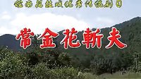 反修 皖南花鼓戏《常金花斩夫》全本下载 - 经典戏曲剧目下载