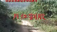 皖南花鼓戏《反修》全本 - 经典戏曲下载
