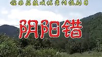 阴阳错