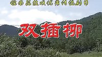 双插柳 皖南花鼓戏 经典剧目 全本下载 戏曲资源下载