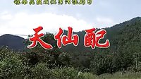 天仙配 全本 皖南花鼓戏 董永七仙女 经典戏曲下载下载
