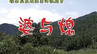 皖南花鼓戏《婆与媳》全本下载 - 经典戏曲剧目在线观看及下载资源