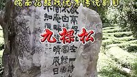 反修 皖南花鼓戏《九棵松》（全本）戏曲下载