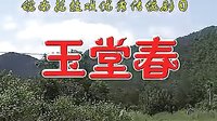 反修：皖南花鼓戏《玉堂春》（全本）下载