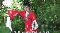 皖南花鼓戏《晒罗裙》（上）下载，戏曲全本、片段在线观看