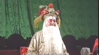白金鸽私访