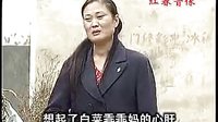 陈西皖打工 - 讲述普通人奋斗历程的励志剧集