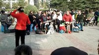 凤台县推剧 - 传统戏曲艺术的魅力与传承 凤台县推剧 - 传统戏曲艺术的魅力与传承
