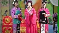 秦雪梅 豫剧经典剧目 - 李青、王丽华等主演，剧情感人至深