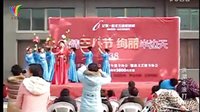 洪湖水浪打浪 - 经典红歌演唱，感受洪湖风情与革命精神