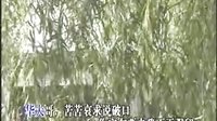淮海戏-许亚玲
