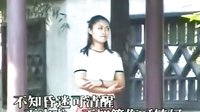 淮海戏《挑灯查哨巡军营》 许亚玲英勇事迹，经典剧情不容错过！下载