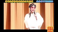 赵娜祖明庄版淮海戏《皮秀英四告》上集下载 - 经典传统戏曲资源