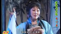 淮海戏《红楼梦》李守英经典唱段 | 焚稿别紫鹃精彩演绎下载