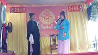 双凤（赵庆凤、李凤霞）剧团淮海戏 - 经典戏曲下载下载