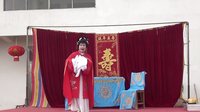淮海戏《珍珠塔》全集在线观看 - 孙海燕主演高清戏曲下载
