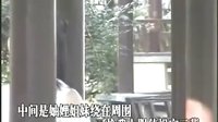 淮海戏《人不伤心不掉泪》在线观看 - 经典戏曲下载网站下载