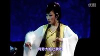 丹剧《槐荫记-路遇》| 金红霞、谢爱忠主演 | 经典戏曲下载