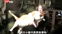 家庭滑稽录像312 - 搞笑家庭喜剧视频 家庭滑稽录像312 - 搞笑家庭喜剧视频