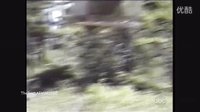 滑稽的家庭趣事41 欢笑不断的家庭喜剧