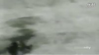 滑稽的家庭趣事74 - 在线观看高清全集免费播放 - 喜剧家庭剧推荐