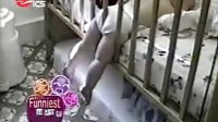 家庭滑稽录像274 家庭滑稽录像274