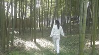 沪剧《爱心长兴》 温情故事，展现社区大爱下载