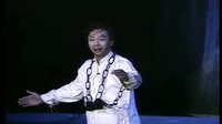 南京票友王子伟演出专场之（8）-戏曲下载
