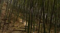 沪剧泰斗邵滨孙舞台生活70周年回顾展演 - 经典剧目全记录|名家齐聚共庆艺术人生下载
