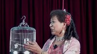 晨韵沪剧演出实况(下)- 沪剧经典剧目现场版 - 高清戏曲下载 晨韵沪剧演出实况(下)- 沪剧经典剧目现场版 - 高清戏曲下载