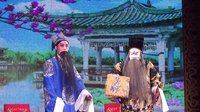 婺剧经典剧目《二度梅》佳艺团演出，陈美兰等主演，剧情感人至深下载