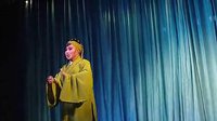 婺剧《刘墉下南京》高清版下载 - 经典戏曲资源下载
