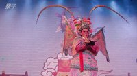 《闹花台文武八仙》- 浙江东方婺剧团精彩演出，不容错过！下载