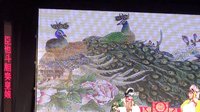 婺剧《龙凤阁》 精彩绝伦的戏曲盛宴下载