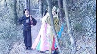 婺剧《兰溪奇案》 精彩绝伦的戏曲盛宴，带你领略古代社会的魅力与人性深度！下载