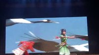 婺剧《火凤凰》- 龙泉婺剧团精彩演绎，感受传统戏曲魅力下载
