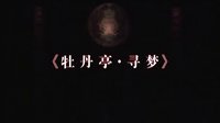 牡丹亭寻梦（青春版）